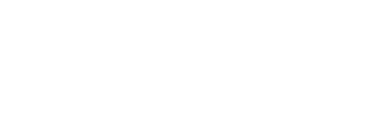 Sport Ireland logo in white