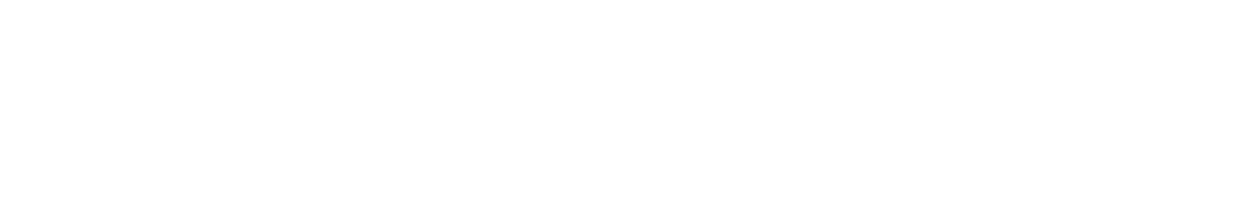 B. Braun Logo in White