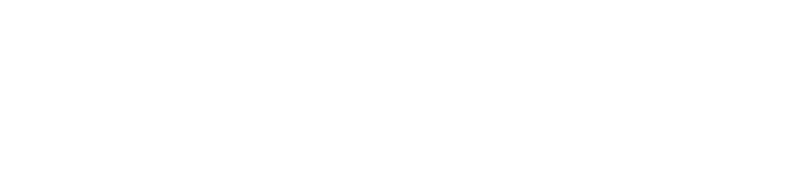 dublin bus logo