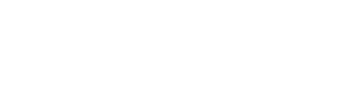 mc sport logo